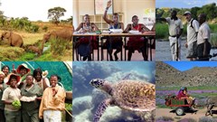 Finalists for 2017 African Responsible Tourism Awards announced