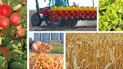 Zeder aims to level portfolio