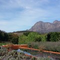 Five of the best vineyards in the Western Cape