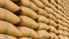 Harmonised regional policies are farmers' lifeline