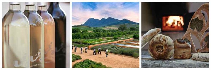 Top 10 wine farms for foodies