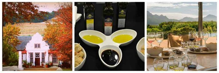 Top 10 wine farms for foodies