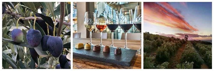 Top 10 wine farms for foodies