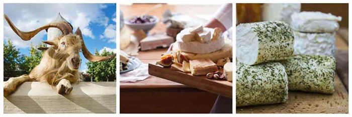 Top 10 wine farms for foodies