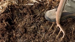 How Zambia could achieve breadbasket status