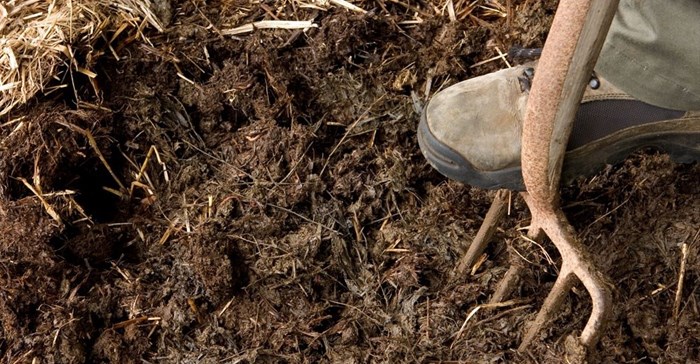 How Zambia could achieve breadbasket status