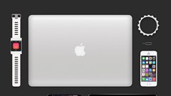 Aleksey Boldin © –