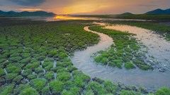 Environment not a priority for sub-Saharan African countries