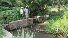 Africa Rice Center via  - Irrigation infrastructure to the Tutu inland valley for rice prodution