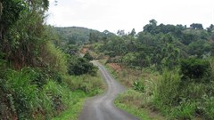 sjludwig@gmail.com via