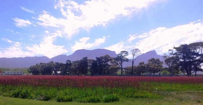 Kenilworth Racecourse Conservation Area ©