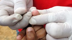 Source: www.paho.org