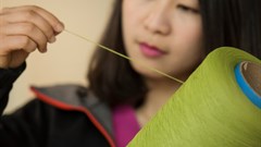 Ford evaluates viability of bamboo in vehicle interiors