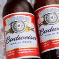 AB InBev to launch Budweiser in SA