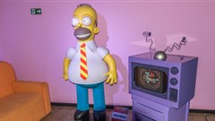 Valmir Abreu Braz Junior © –