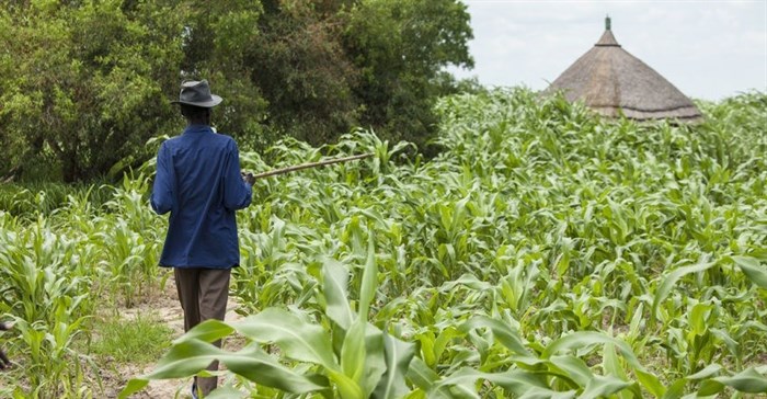 Invest in agriculture, Africa urged