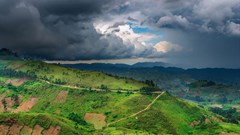 Rainfall set to boost growth in southern Africa