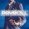 Payroll compliance needs formally qualified personnel