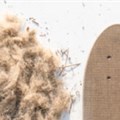 Skateboards made from hemp