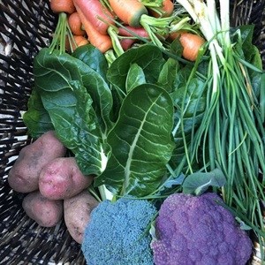 #UrbanAgri: Let It Grow Foundation helps communities grow their own urban farms