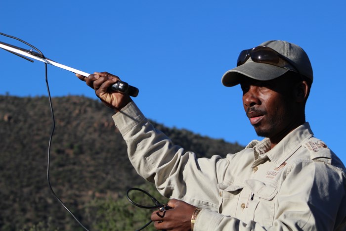 Wild and romantic Samara