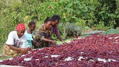 William Creighton via