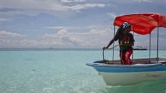 Zanzibar about to undergo mega transformation of the sustainable kind