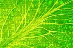 A bionic leaf can turn sunlight into liquid fuel - the first example of artificial photosynthesis in robotics. vocativ