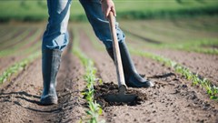 Conference to provide insight on land tenure, future skills for agriculture