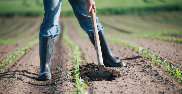 Conference to provide insight on land tenure, future skills for agriculture