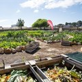 Shoprite opens doors to community gardens for World Hunger Day
