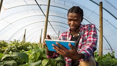 Image Supplied - ©GettyImages