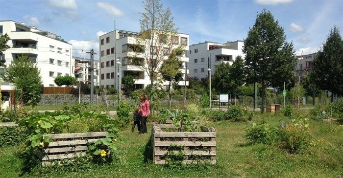 Providing green space can deliver health, social and environmental benefits for all urban residents – few other public health interventions can achieve all of this. Anne Cleary, author provided.