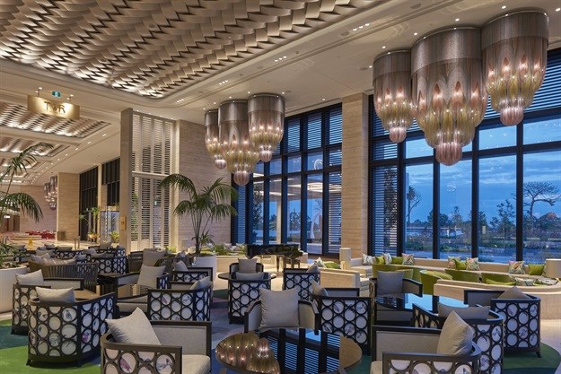 Willowlamp scoops darc award