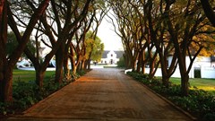 A 'Winelands' getaway, away from the Winelands