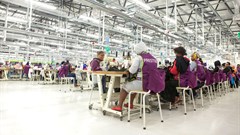 TFG invests R75m into Caledon factory
