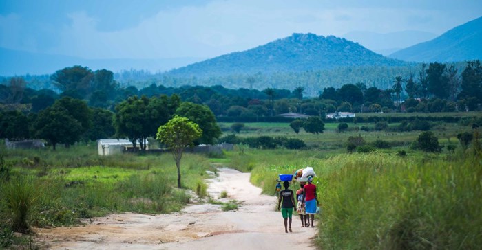 Sustainable forestry: Striking the right balance for investors and the man on the street