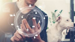 Enterprise app development on the back burner