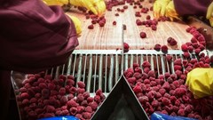 Blockchain seen as tool in food safety