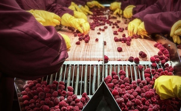 Blockchain seen as tool in food safety