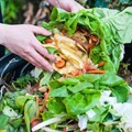 Waste to Food: PnP cutting down on food waste through innovative project