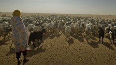 Chad is the country most vulnerable to climate change - here's why