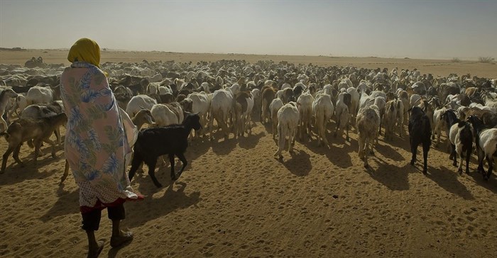 Chad is the country most vulnerable to climate change - here's why