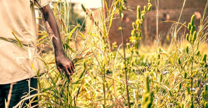 BRICS countries have an important role to play in achieving SDGs