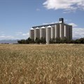Silos ready for record maize harvest