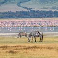 Ngorongoro: A sparkling tourism jewel