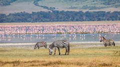 Ngorongoro: A sparkling tourism jewel