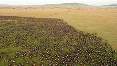 Daniel Rosengren via