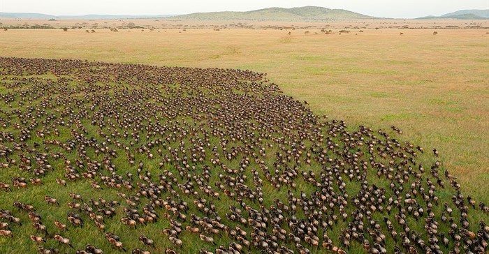 Daniel Rosengren via