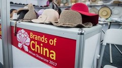 China Guangxi business matchmaking opens at SAITEX